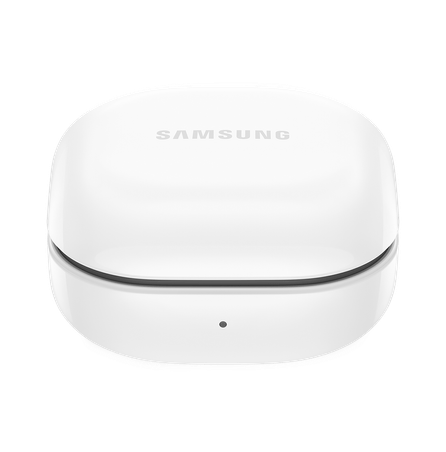 Galaxy Buds FE Graphite